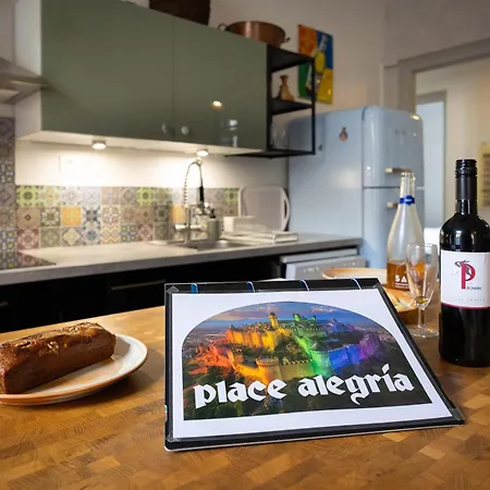 Place Alegria * 카르카손