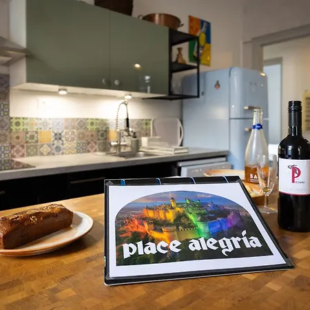 Place Alegria 卡尔卡松